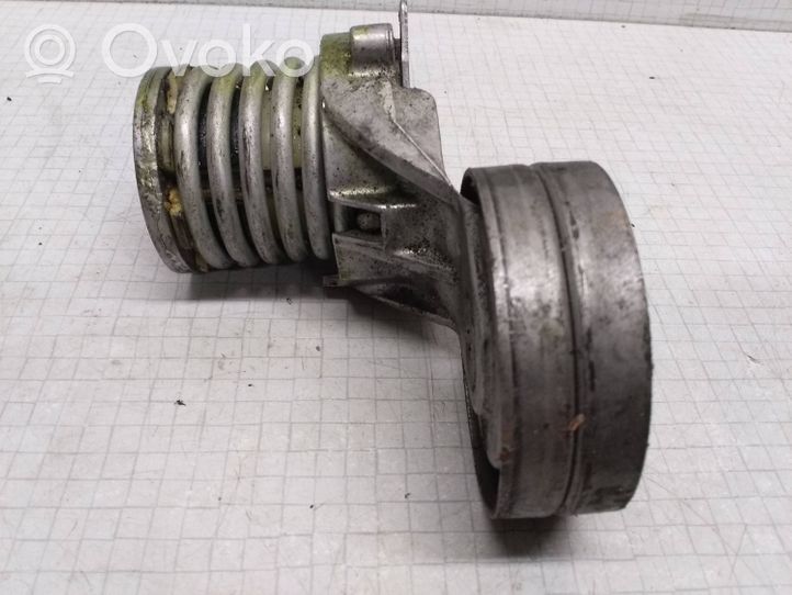 Volkswagen Bora Napinacz paska wielorowkowego / Alternatora 950426