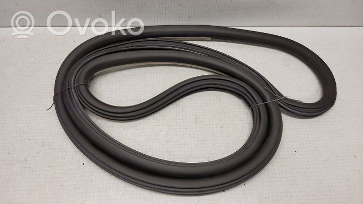 Volkswagen PASSAT B5.5 Front door rubber seal 3B0867366L