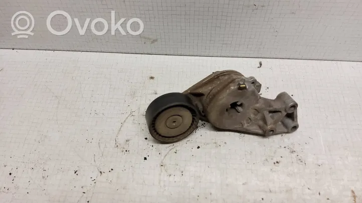 Volkswagen PASSAT B6 Napinacz paska alternatora 06A903315