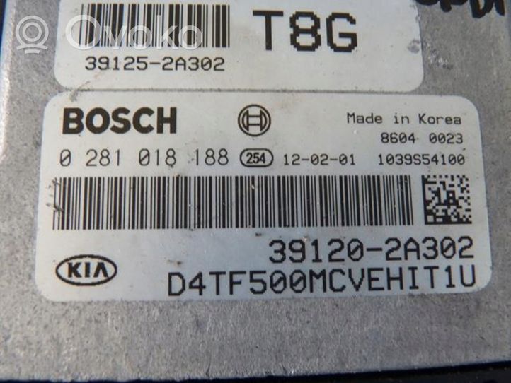 KIA Optima Calculateur moteur ECU 391202a302