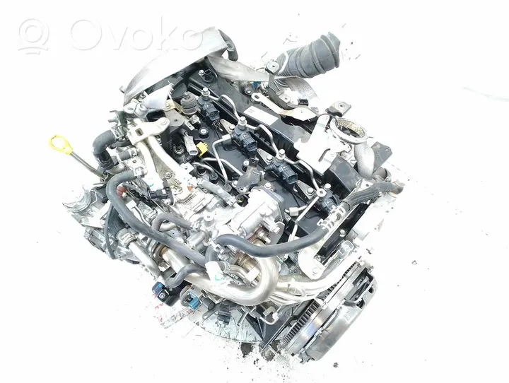 Toyota Hilux (AN10, AN20, AN30) Moottori 2GDFTV