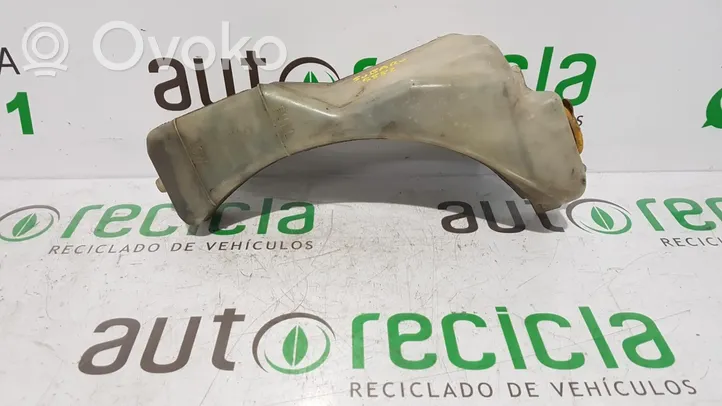 Subaru Forester SF Vaso di espansione carburante 