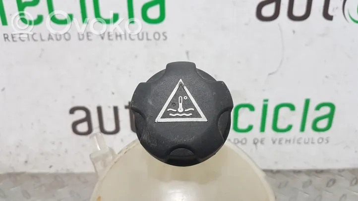 Citroen C4 I Vaso di espansione carburante 