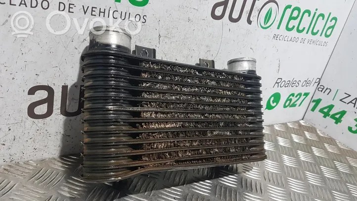 Ford Ranger Radiador intercooler 