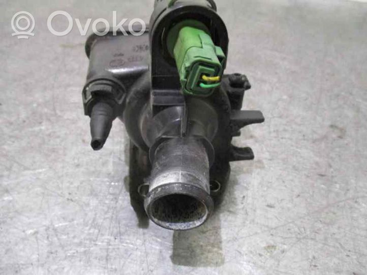 Citroen C3 Termostat 9641522380