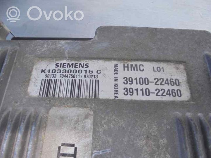 Hyundai Accent Sterownik / Moduł ECU 3910022460