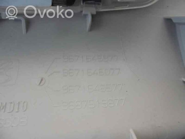 Citroen C4 II Kattokonsolin valaisinyksikön koristelista 9671645977