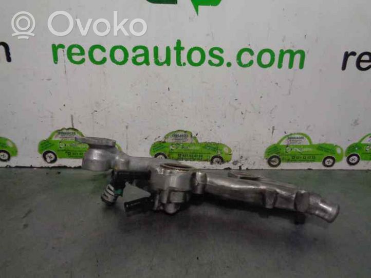 Citroen C5 Termostat 9619903080