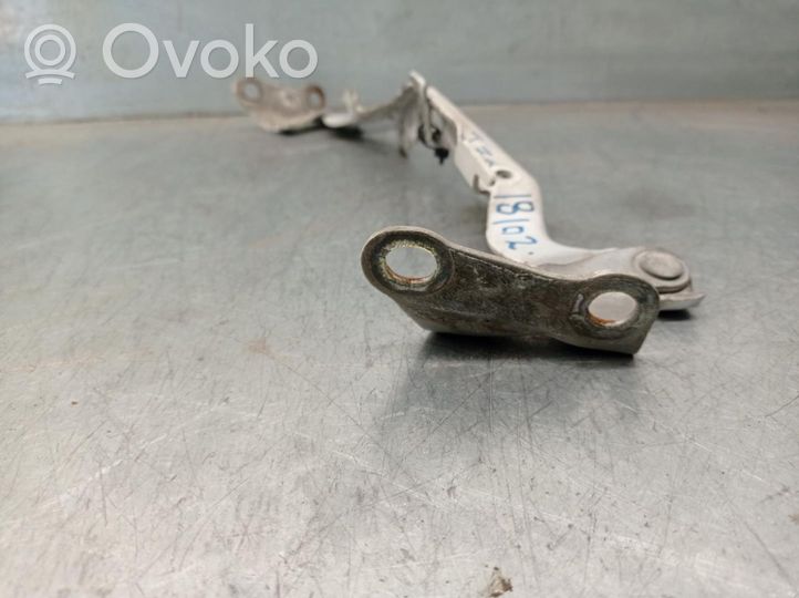 Toyota Hilux (AN10, AN20, AN30) Cerniere del vano motore/cofano 534100K020