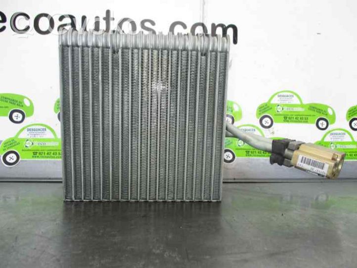 Volkswagen New Beetle Air conditioning (A/C) radiator (interior) 