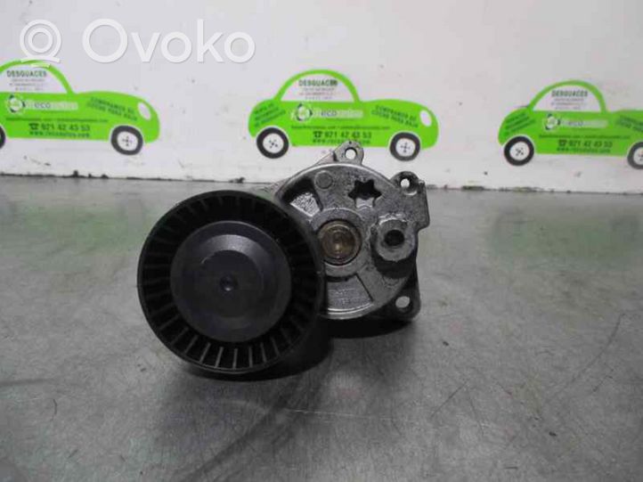 Mercedes-Benz Vito Viano W638 Tendicinghia generatore/alternatore 