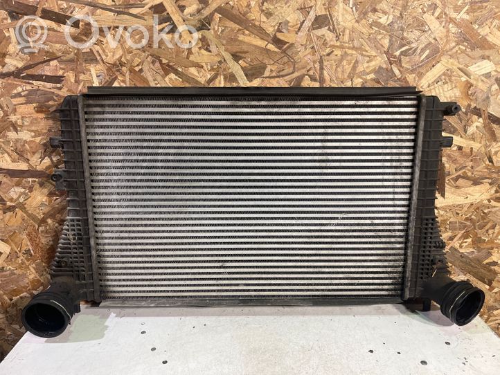 Volkswagen Golf V Canale guida dell’aria dell’intercooler 1K0145803L