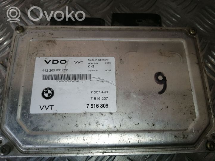 BMW 3 E46 Engine control unit/module 7516809