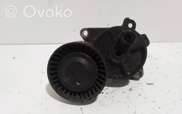 BMW 3 E46 Generator/alternator belt tensioner 1427252