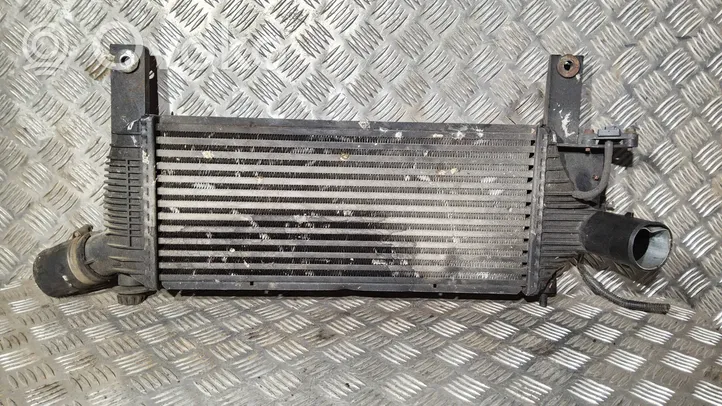 Nissan Navara D40 Radiatore intercooler 14461EB360