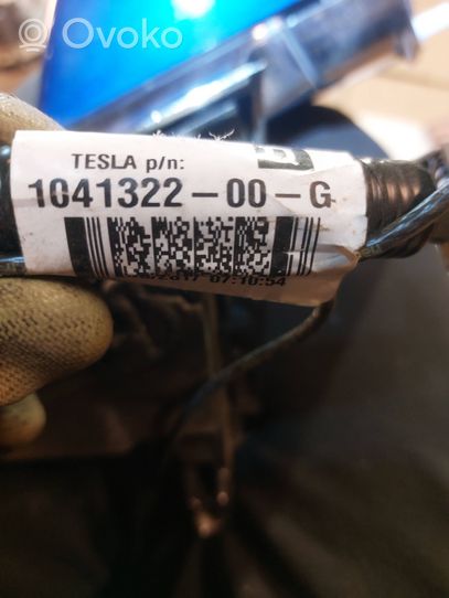 Tesla Model S Veidrodėlis (elektra valdomas) 104132200G