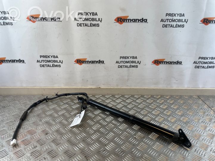 Toyota RAV 4 (XA40) Amortizatorius galinio dangčio 6892042040