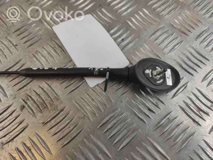 Ford Ecosport Radion antenni 