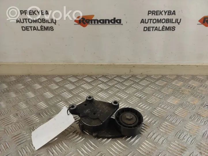 Ford Ecosport Napinacz paska alternatora 