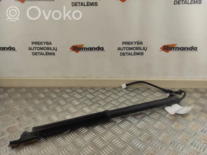 Toyota RAV 4 (XA50) Jambe de force de hayon 6891042060