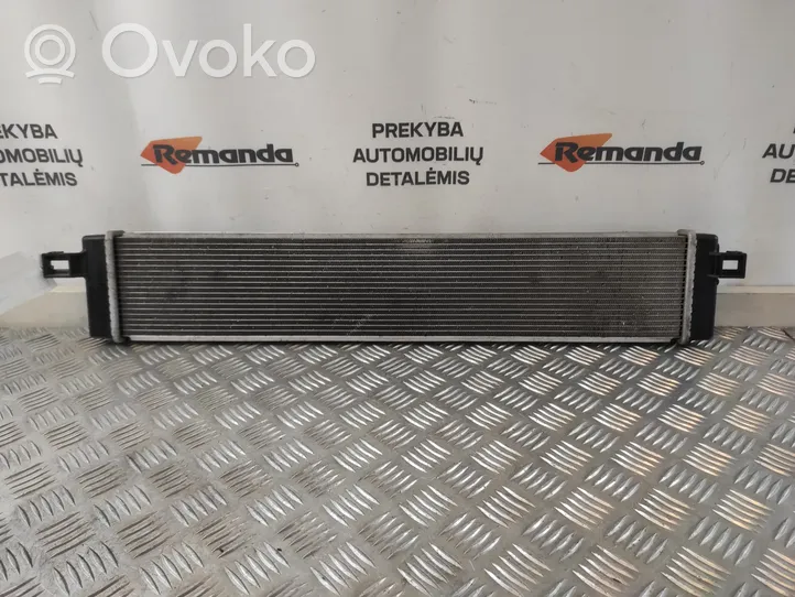 Toyota RAV 4 (XA50) Radiateur 