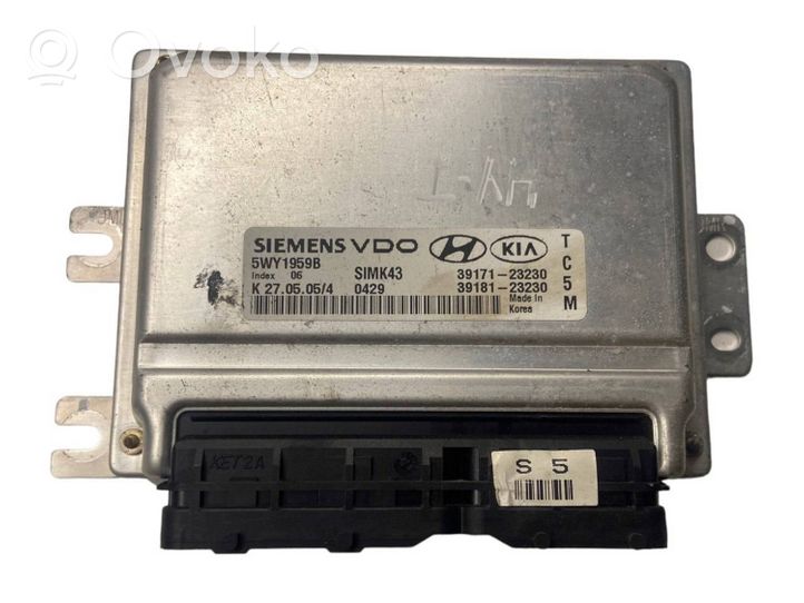 Hyundai Tucson JM Sterownik / Moduł ECU 3917123230