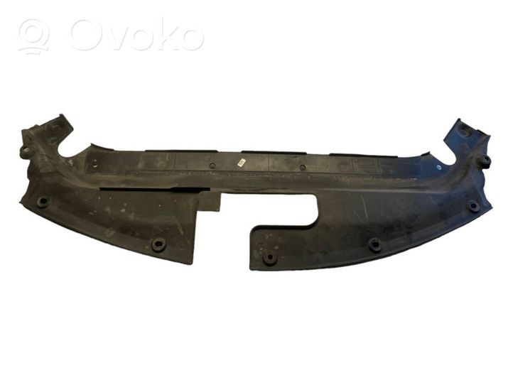 Nissan Pulsar Radiatoru dekoratīvā apdare NS0055Y00