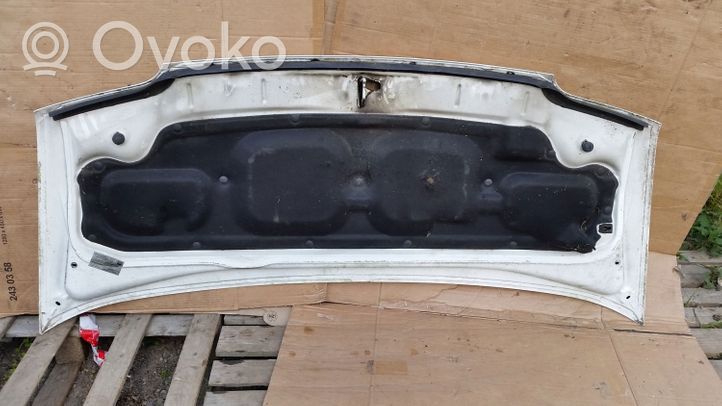 Fiat Ducato Engine bonnet/hood 