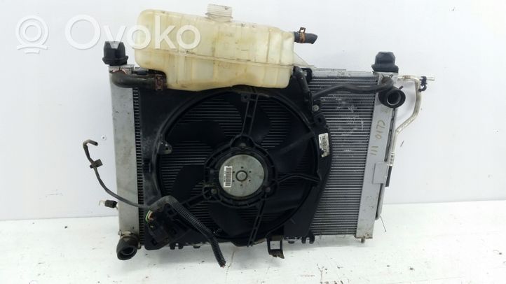 Renault Clio III Kit Radiateur 7700425842A