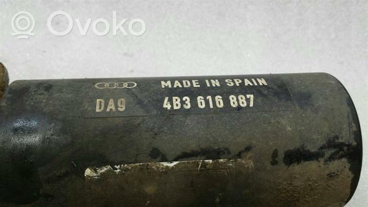 Audi RS6 C5 Pakabos valdymo blokas 4B3616887