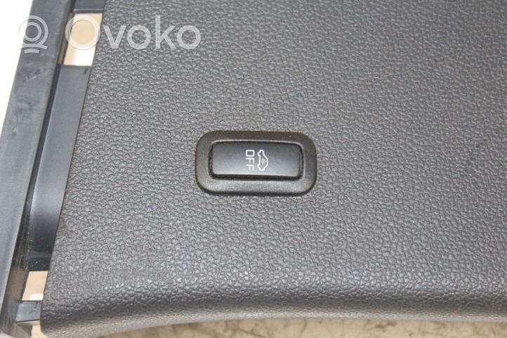 Volkswagen Passat Alltrack (B) statramsčio apdaila (apatinė) 3G0867291B