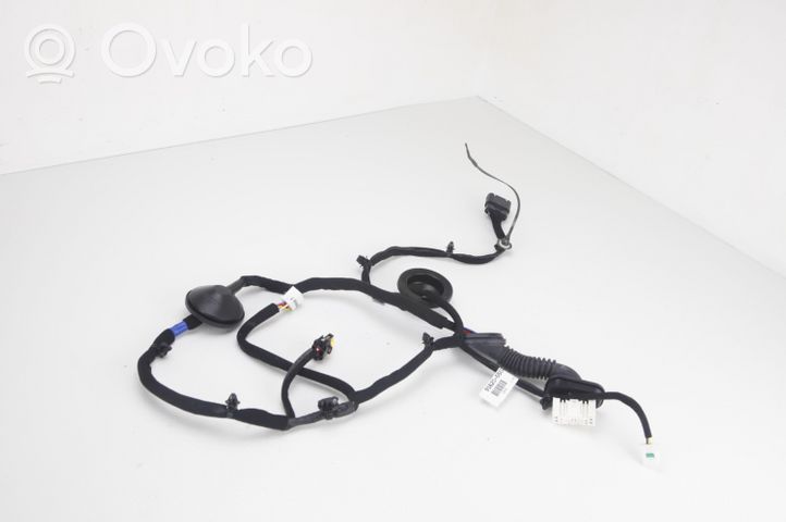 KIA Niro Faisceau de câblage de porte arrière 91620-G5020