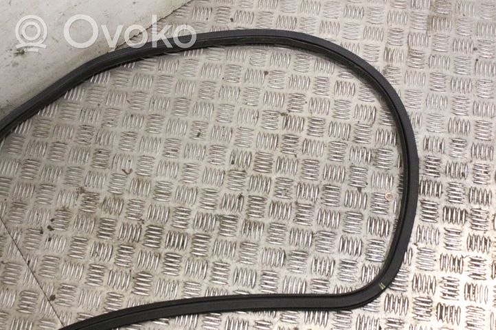 Opel Mokka Front door rubber seal 