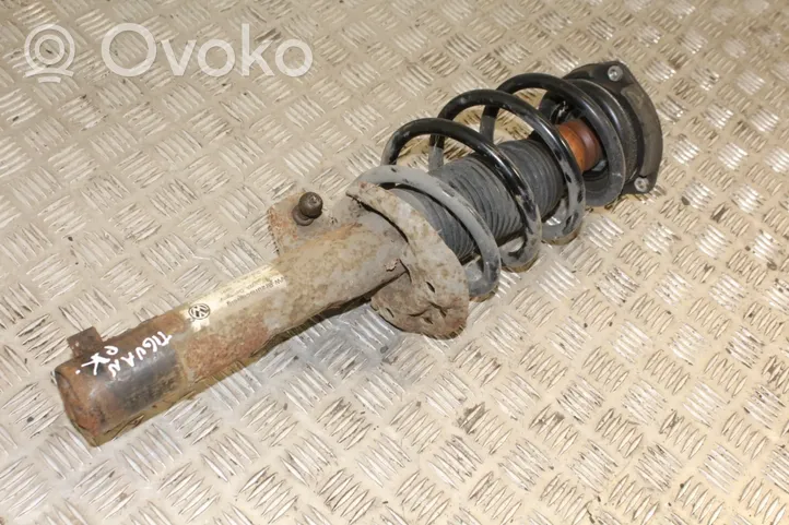 Volkswagen Tiguan Front shock absorber with coil spring 5N0400053T