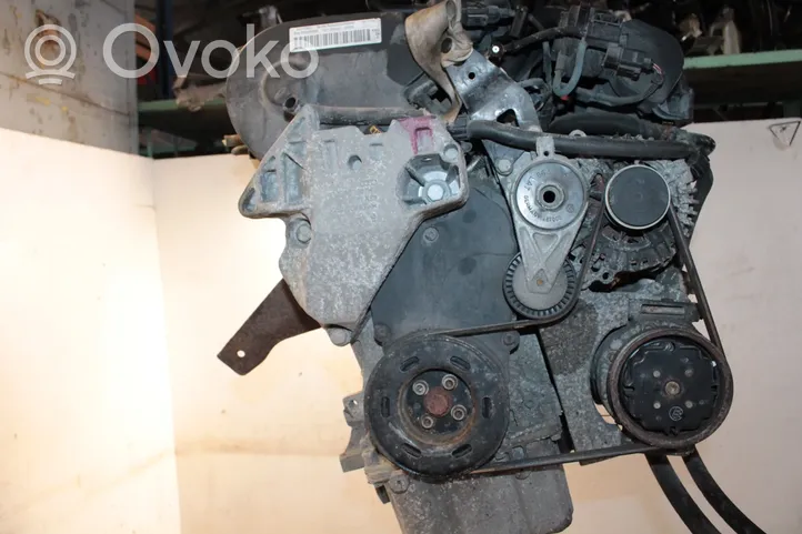 Volkswagen PASSAT B6 Engine BVY