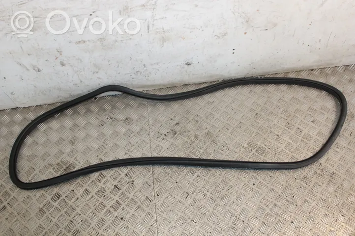 Volkswagen Tiguan Rear door rubber seal (on body) 5N0867913