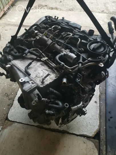 Audi A4 S4 B9 Engine DEU