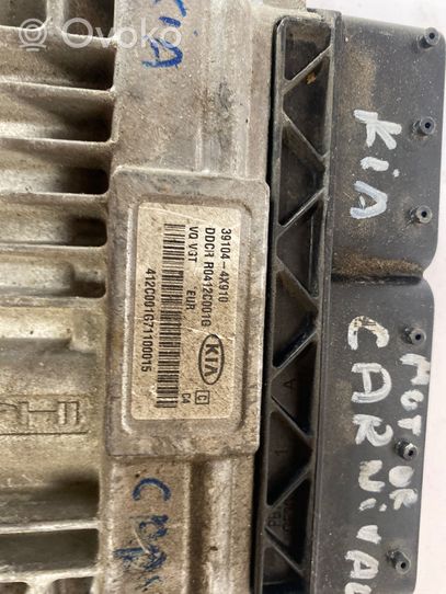 KIA Carnival Sterownik / Moduł ECU 391044X910