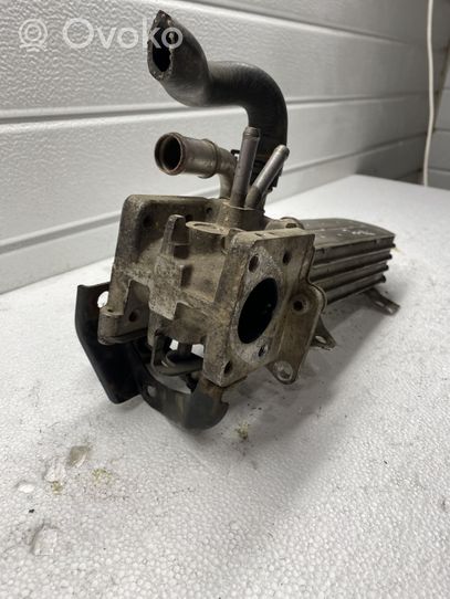 Volkswagen Golf IV EGR valve cooler 038131513D