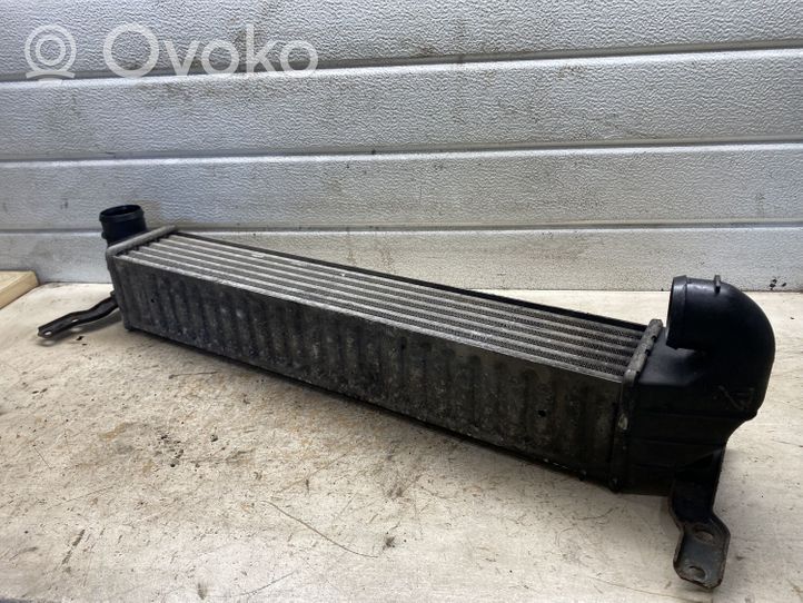 Volkswagen Sharan Radiatore intercooler 7M3145805