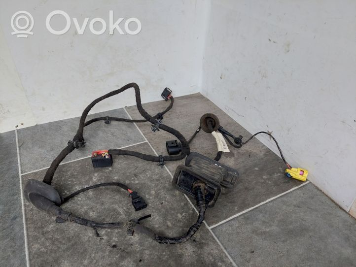 Volkswagen PASSAT B6 Front door wiring loom 3C1971120AJ