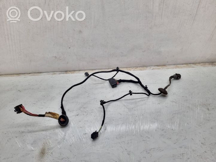 Volkswagen PASSAT B5.5 Rear door wiring loom 1J0971913