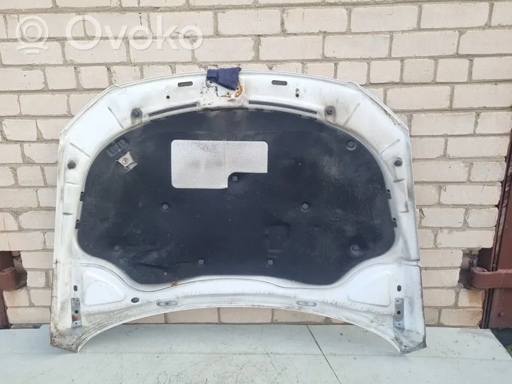 Volkswagen PASSAT B6 Engine bonnet/hood 