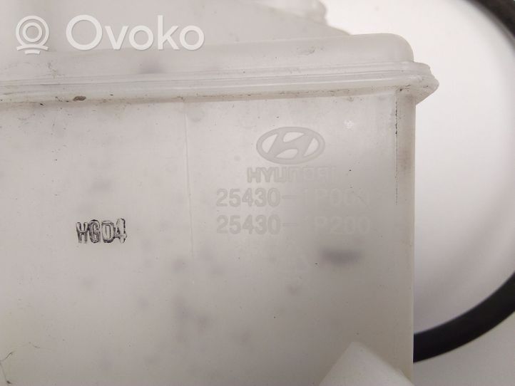 Hyundai ix20 Coolant expansion tank/reservoir 254301P000