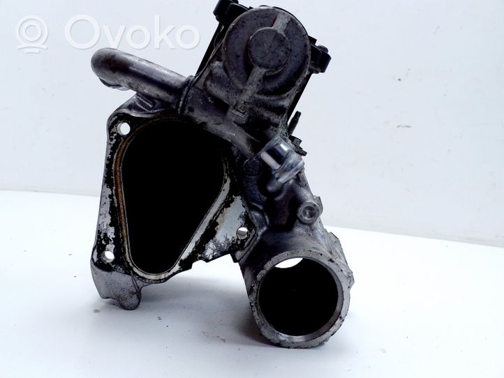 Nissan Juke I F15 EGR vožtuvas 7003681406