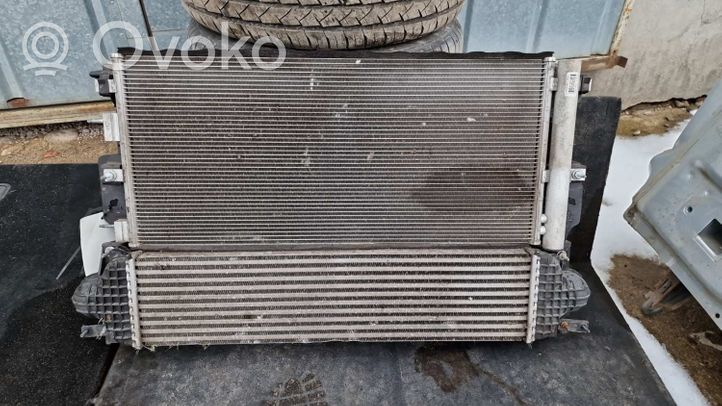 Ford S-MAX Kit Radiateur DG9H19710AE