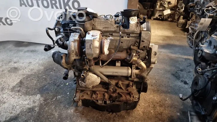 Volkswagen PASSAT CC Engine 03L253019K