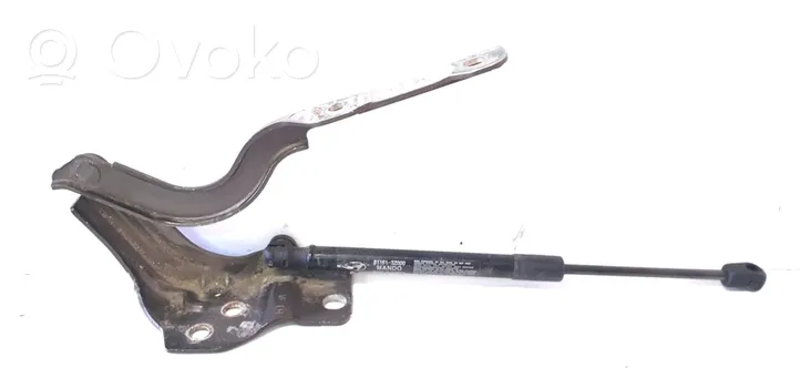 Hyundai i40 Cerniere del vano motore/cofano 81161-3Z000