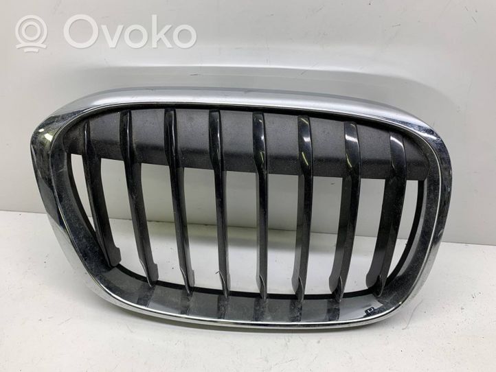 BMW X1 F48 F49 Kühlergrill 7383364