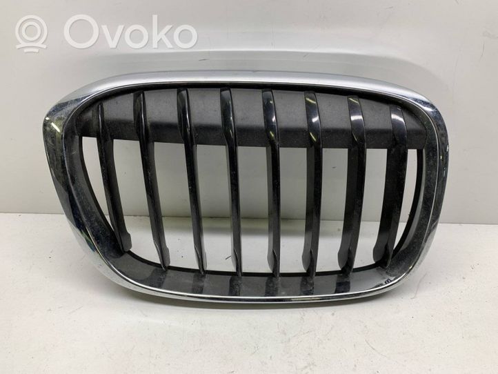 BMW X1 F48 F49 Kühlergrill 7383364